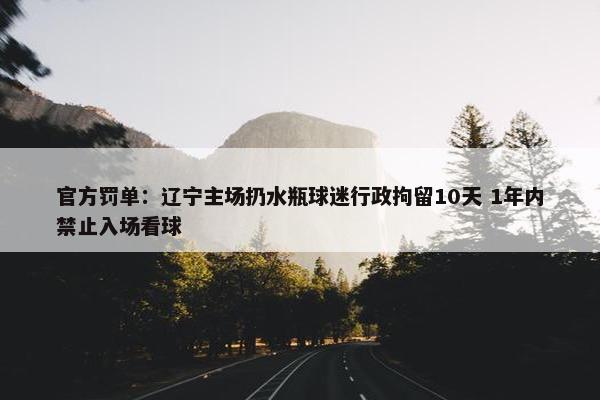 官方罚单：辽宁主场扔水瓶球迷行政拘留10天 1年内禁止入场看球