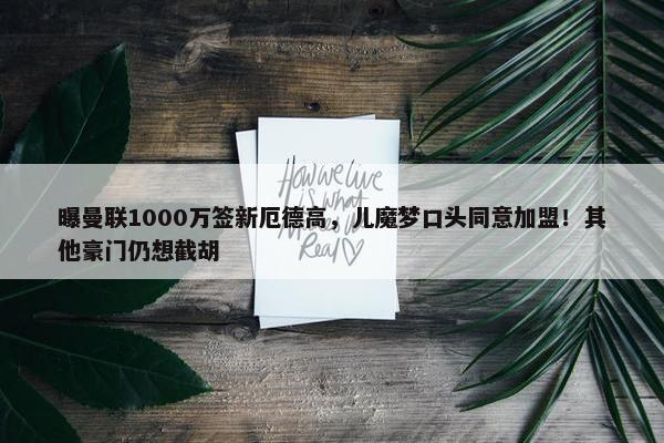 曝曼联1000万签新厄德高，儿魔梦口头同意加盟！其他豪门仍想截胡