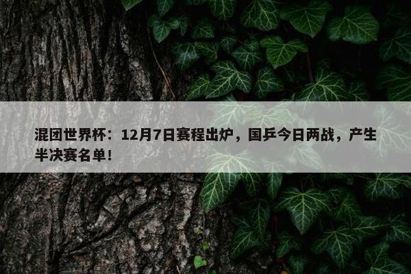 混团世界杯：12月7日赛程出炉，国乒今日两战，产生半决赛名单！