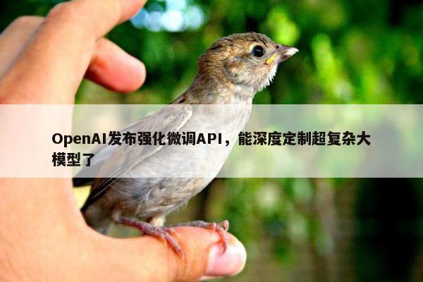 OpenAI发布强化微调API，能深度定制超复杂大模型了