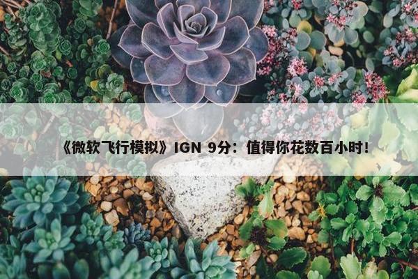 《微软飞行模拟》IGN 9分：值得你花数百小时！