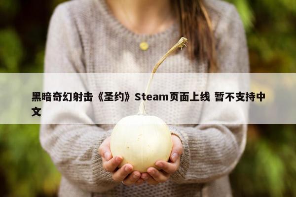 黑暗奇幻射击《圣约》Steam页面上线 暂不支持中文