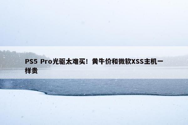 PS5 Pro光驱太难买！黄牛价和微软XSS主机一样贵