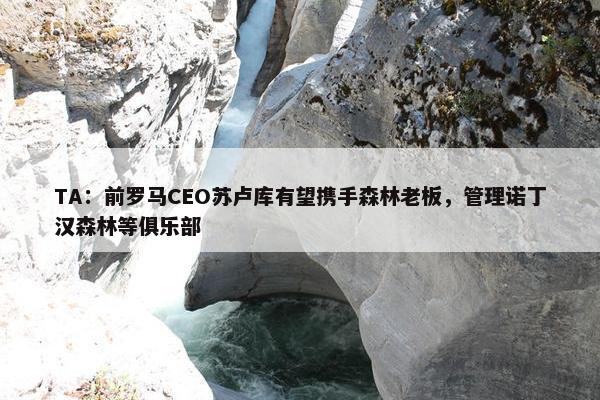 TA：前罗马CEO苏卢库有望携手森林老板，管理诺丁汉森林等俱乐部