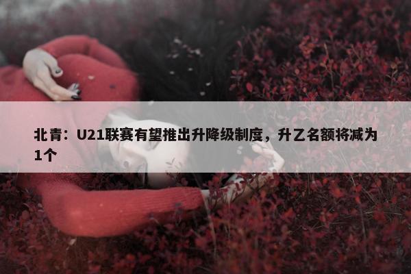 北青：U21联赛有望推出升降级制度，升乙名额将减为1个