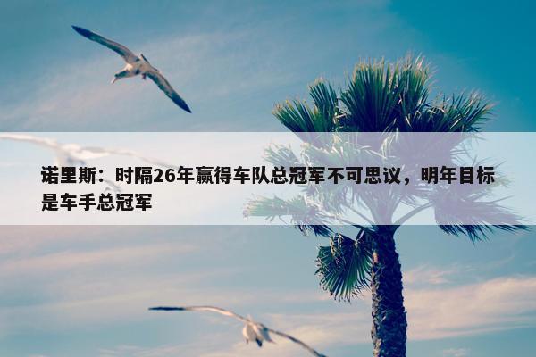 诺里斯：时隔26年赢得车队总冠军不可思议，明年目标是车手总冠军