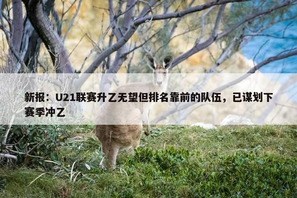 新报：U21联赛升乙无望但排名靠前的队伍，已谋划下赛季冲乙