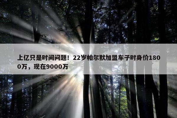 上亿只是时间问题！22岁帕尔默加盟车子时身价1800万，现在9000万