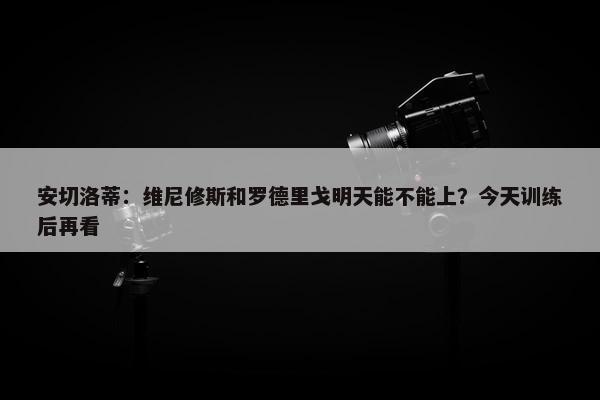 安切洛蒂：维尼修斯和罗德里戈明天能不能上？今天训练后再看