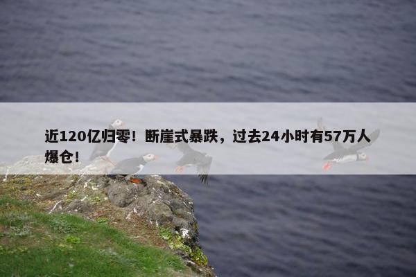 近120亿归零！断崖式暴跌，过去24小时有57万人爆仓！