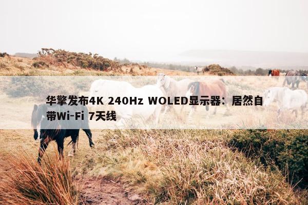 华擎发布4K 240Hz WOLED显示器：居然自带Wi-Fi 7天线