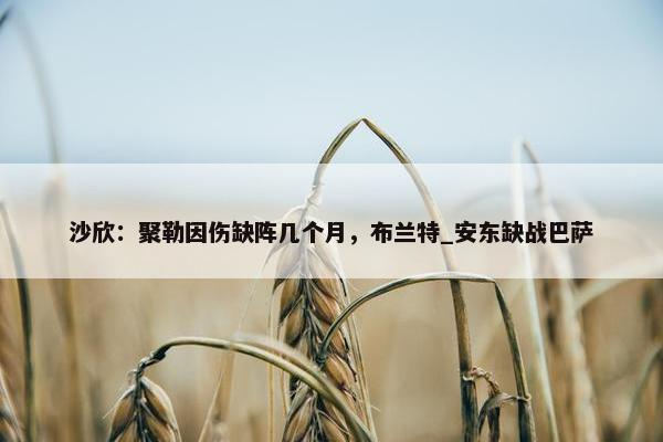 沙欣：聚勒因伤缺阵几个月，布兰特_安东缺战巴萨