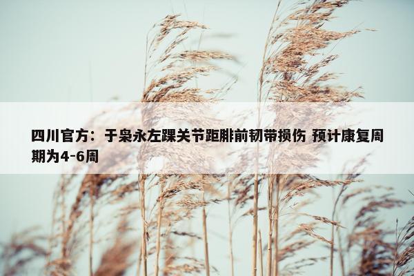 四川官方：于枭永左踝关节距腓前韧带损伤 预计康复周期为4-6周