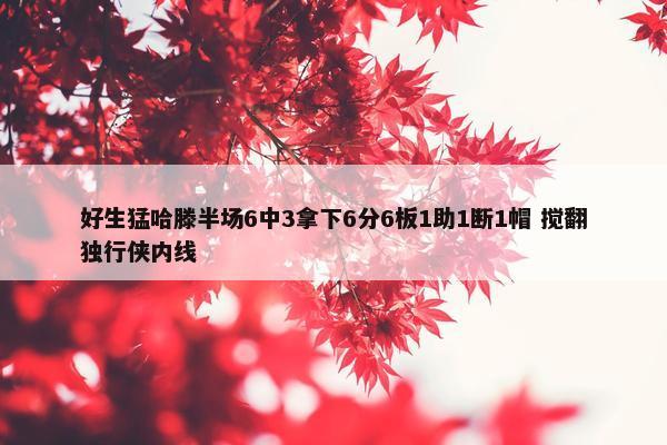 好生猛哈滕半场6中3拿下6分6板1助1断1帽 搅翻独行侠内线