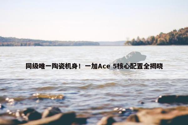 同级唯一陶瓷机身！一加Ace 5核心配置全揭晓