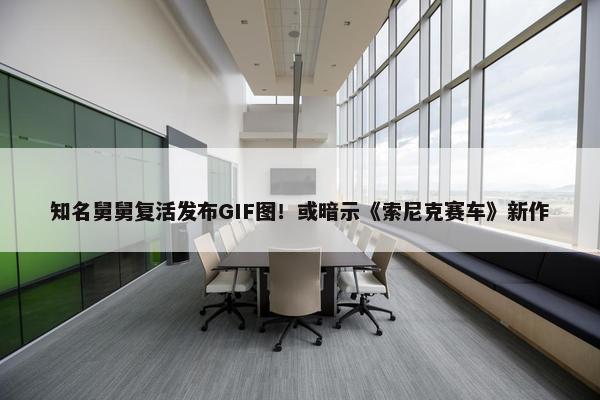 知名舅舅复活发布GIF图！或暗示《索尼克赛车》新作