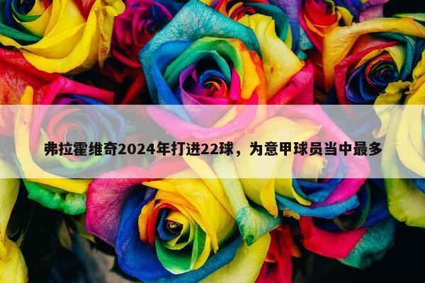 弗拉霍维奇2024年打进22球，为意甲球员当中最多