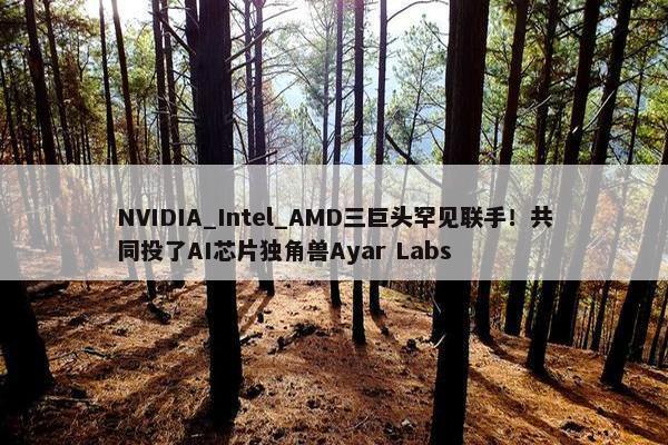 NVIDIA_Intel_AMD三巨头罕见联手！共同投了AI芯片独角兽Ayar Labs