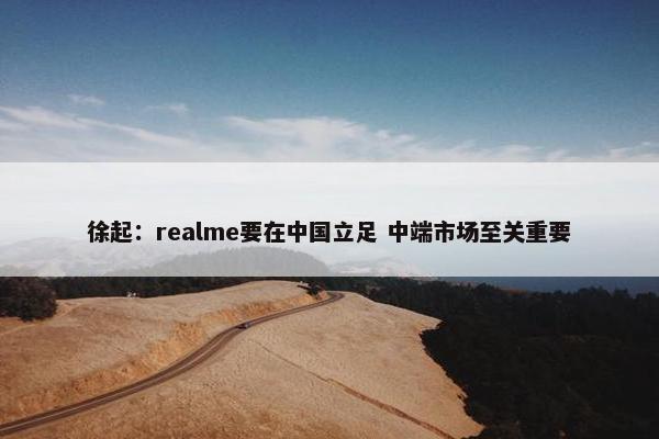 徐起：realme要在中国立足 中端市场至关重要