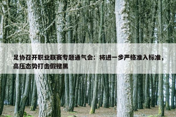 足协召开职业联赛专题通气会：将进一步严格准入标准，高压态势打击假赌黑