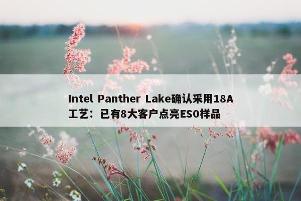 Intel Panther Lake确认采用18A工艺：已有8大客户点亮ES0样品