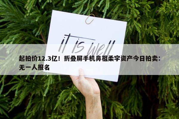 起拍价12.3亿！折叠屏手机鼻祖柔宇资产今日拍卖：无一人报名