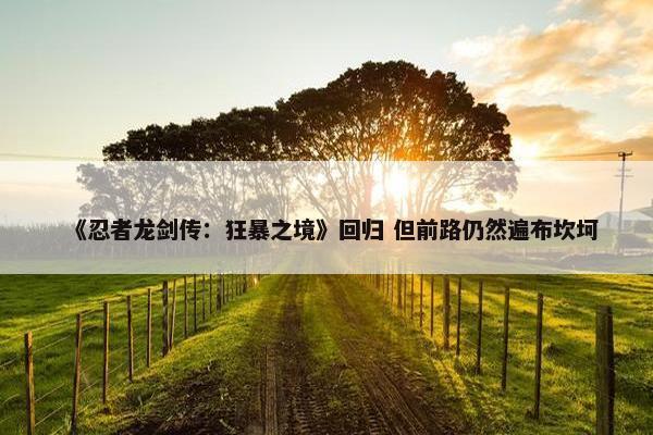 《忍者龙剑传：狂暴之境》回归 但前路仍然遍布坎坷