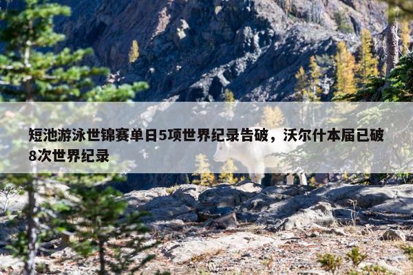 短池游泳世锦赛单日5项世界纪录告破，沃尔什本届已破8次世界纪录