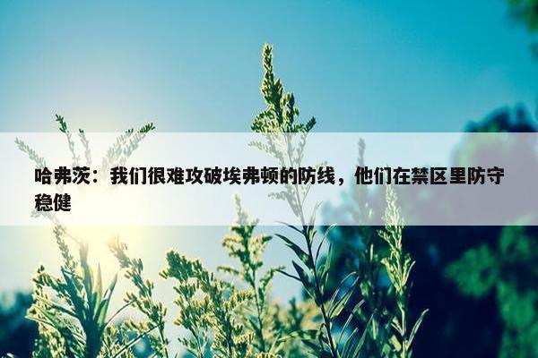 哈弗茨：我们很难攻破埃弗顿的防线，他们在禁区里防守稳健