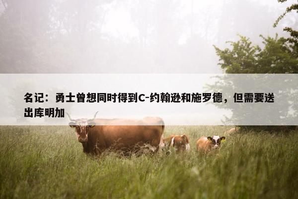 名记：勇士曾想同时得到C-约翰逊和施罗德，但需要送出库明加