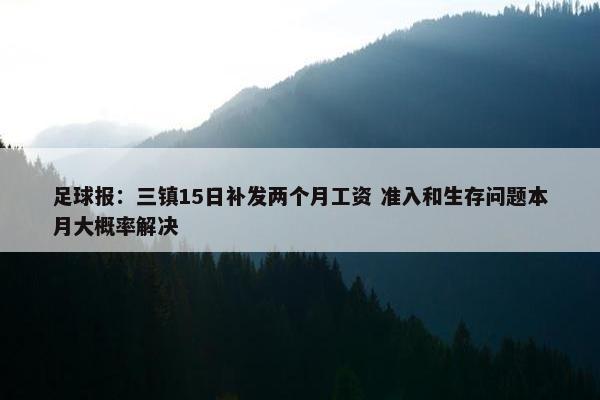 足球报：三镇15日补发两个月工资 准入和生存问题本月大概率解决