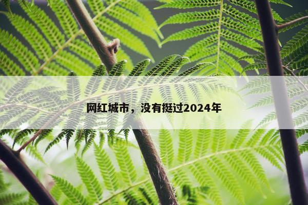 网红城市，没有挺过2024年