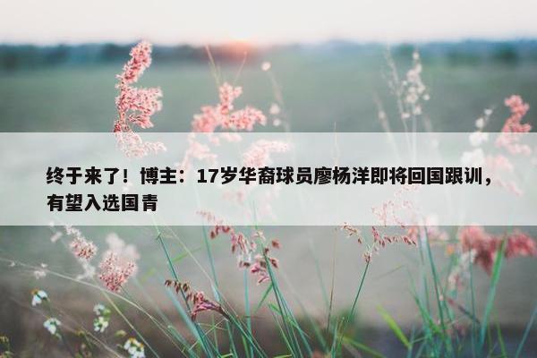 终于来了！博主：17岁华裔球员廖杨洋即将回国跟训，有望入选国青