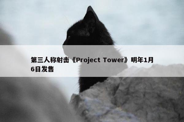 第三人称射击《Project Tower》明年1月6日发售