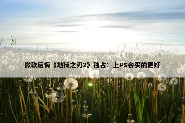 微软后悔《地狱之刃2》独占：上PS会买的更好