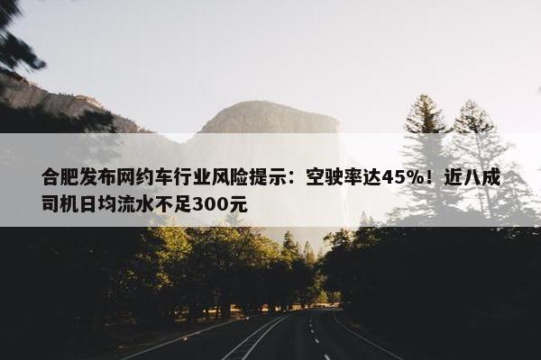 合肥发布网约车行业风险提示：空驶率达45%！近八成司机日均流水不足300元