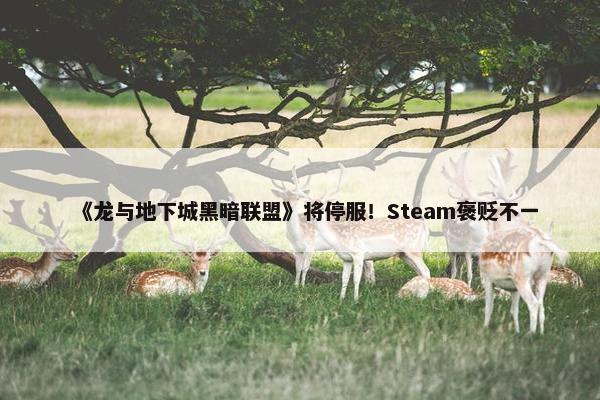 《龙与地下城黑暗联盟》将停服！Steam褒贬不一