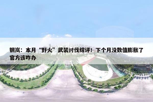 钢岚：本月“野火”武装讨伐综评！下个月没数值膨胀了官方该咋办