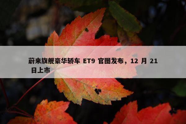 蔚来旗舰豪华轿车 ET9 官图发布，12 月 21 日上市