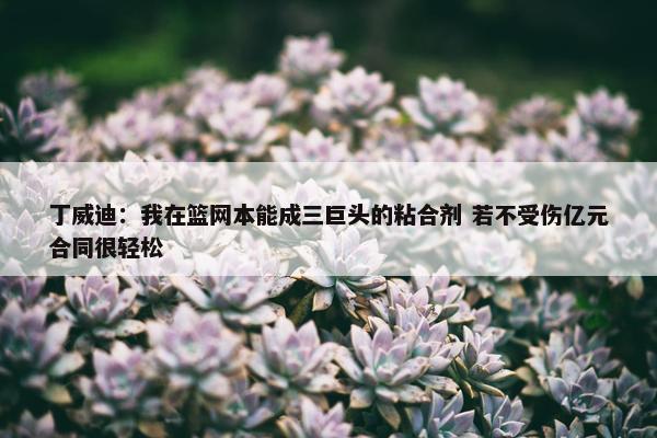 丁威迪：我在篮网本能成三巨头的粘合剂 若不受伤亿元合同很轻松