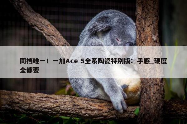 同档唯一！一加Ace 5全系陶瓷特别版：手感_硬度全都要