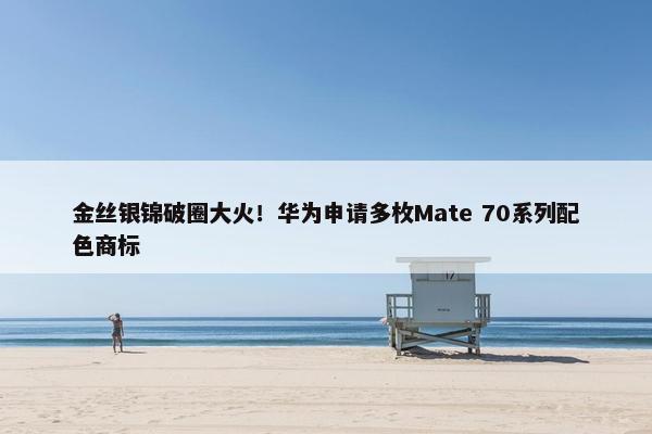 金丝银锦破圈大火！华为申请多枚Mate 70系列配色商标