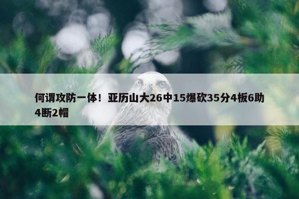 何谓攻防一体！亚历山大26中15爆砍35分4板6助4断2帽