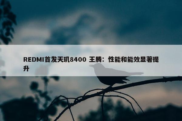 REDMI首发天玑8400 王腾：性能和能效显著提升