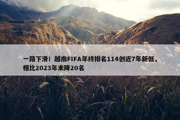 一路下滑！越南FIFA年终排名114创近7年新低，相比2023年末降20名