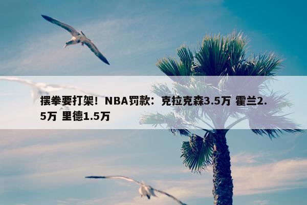 摆拳要打架！NBA罚款：克拉克森3.5万 霍兰2.5万 里德1.5万