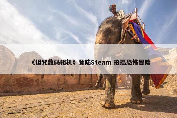 《诅咒数码相机》登陆Steam 拍摄恐怖冒险