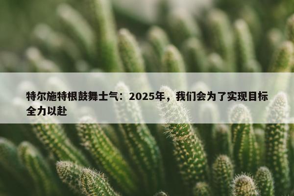 特尔施特根鼓舞士气：2025年，我们会为了实现目标全力以赴