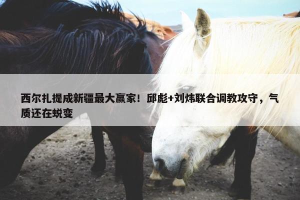 西尔扎提成新疆最大赢家！邱彪+刘炜联合调教攻守，气质还在蜕变