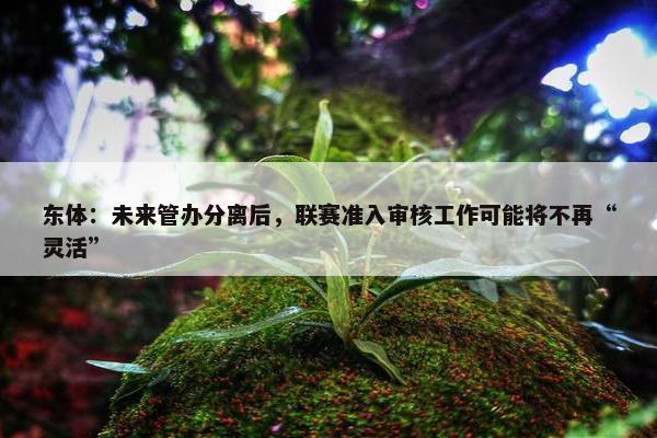 东体：未来管办分离后，联赛准入审核工作可能将不再“灵活”